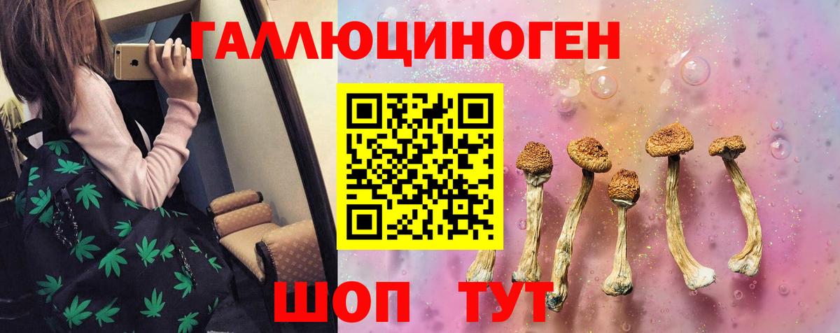 Соликамск  Псилоцибиновые грибы Psilocybine cubensis  Вход с VPN  Галлюциногенные грибы ЛСД 